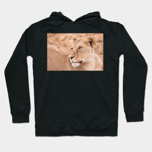 Serengeti Lion #4 Hoodie